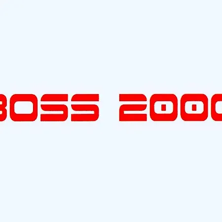 Boss 2000 Uslugi Hotelarskie ベッド・アンド・ブレックファスト